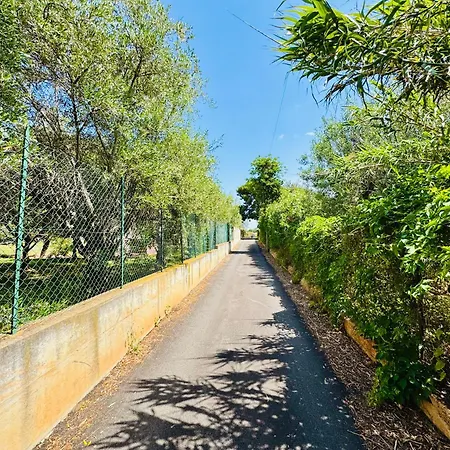 Donna Vincenza Cinisi